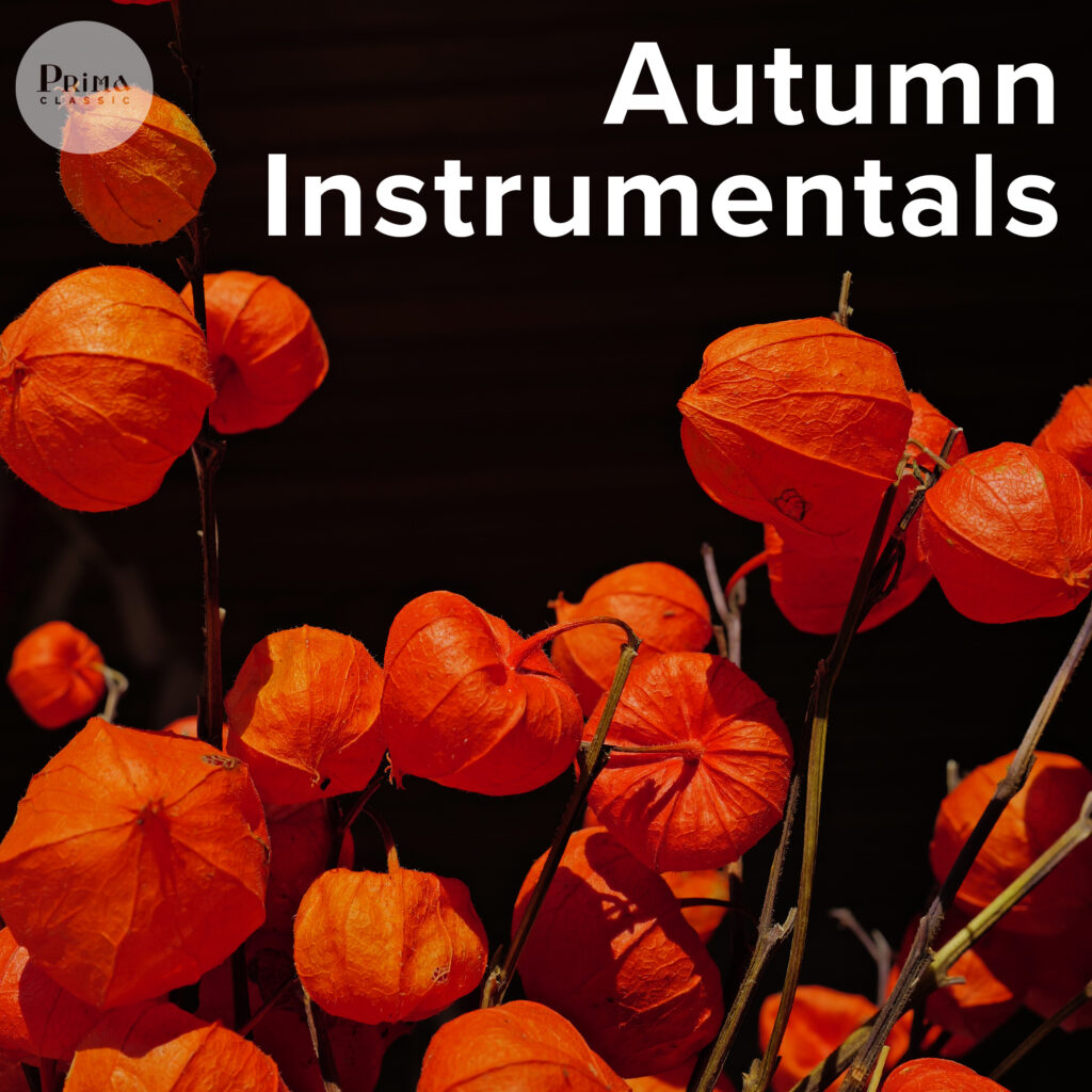 Autumn Instrumentals – Piano, Guitar, Strings, Orchestra