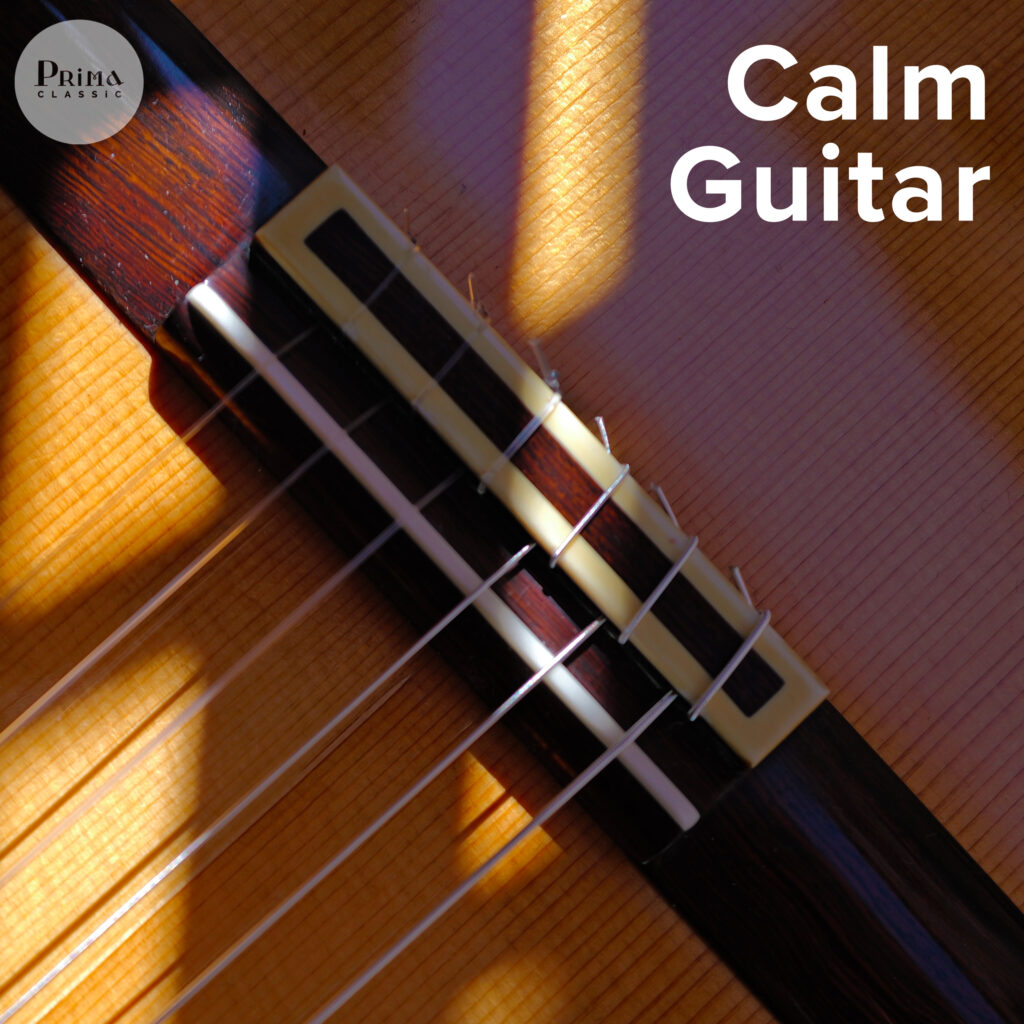 Calm Guitar