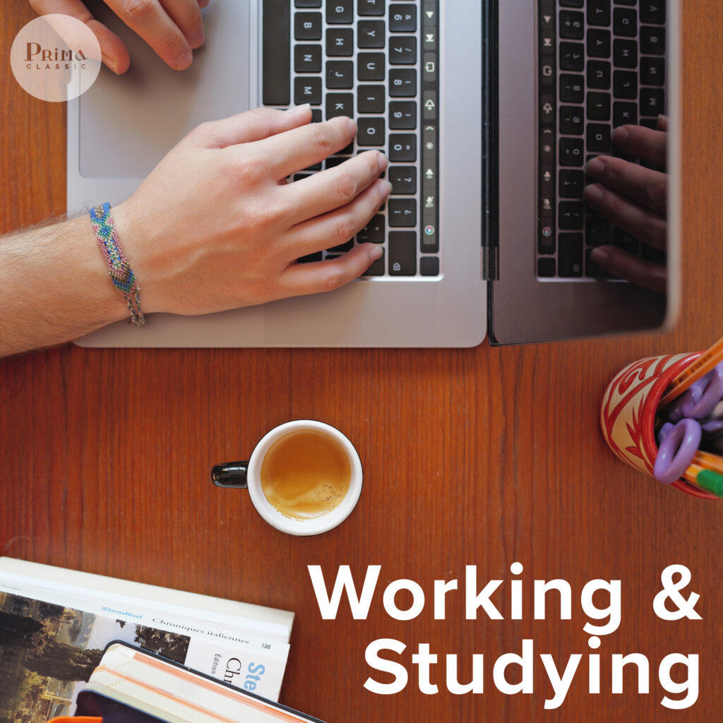 Quiet Music for Working and Studying