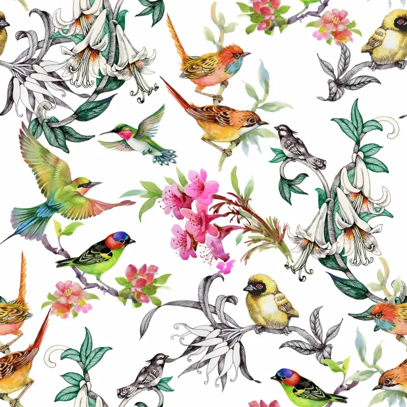Deep Sleep Station – Birds of Valencia