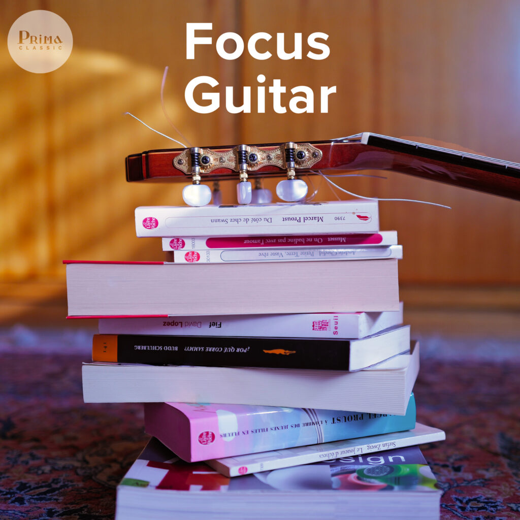 Focus Guitar
