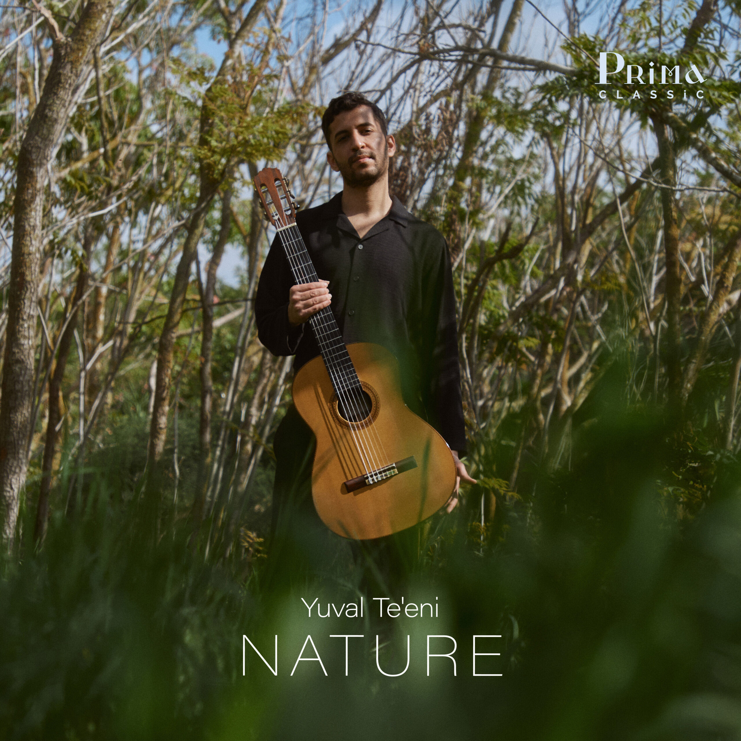 Yuval Te’eni – Nature